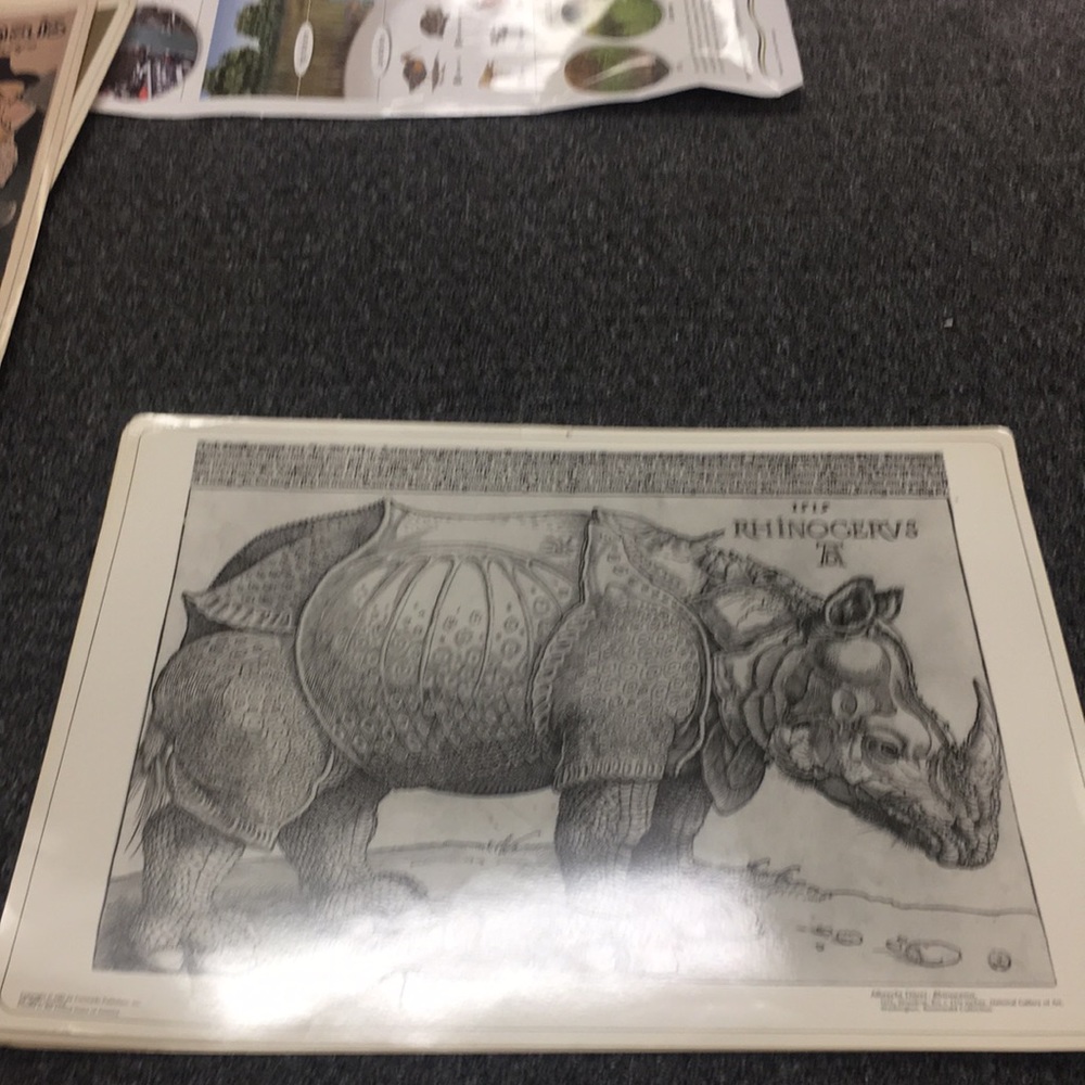 Rhinoceros by Durer wood cut